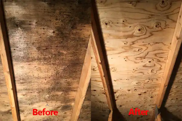 water damage restoration service Grand Island